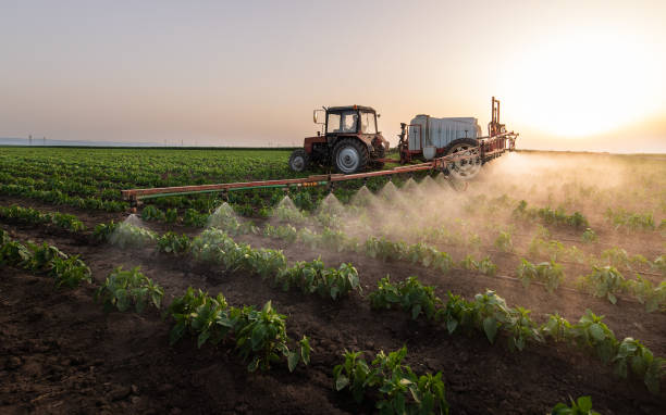 Pest Control for Hotels in Hereford, TX